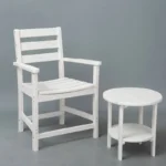 dining arm chair (3)