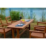 outdoor dinning set (6)